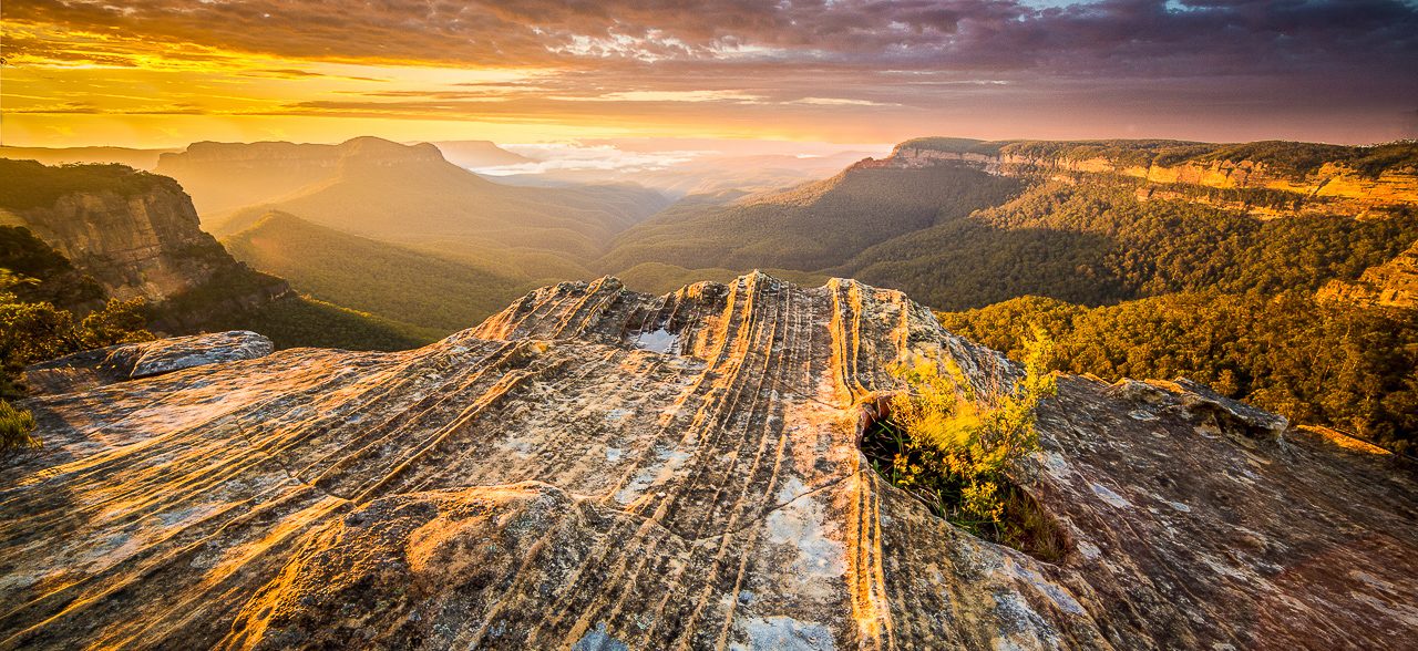 Blue Mountains Escape: Nature’s Masterpiece from Sydney - Gallery image 7