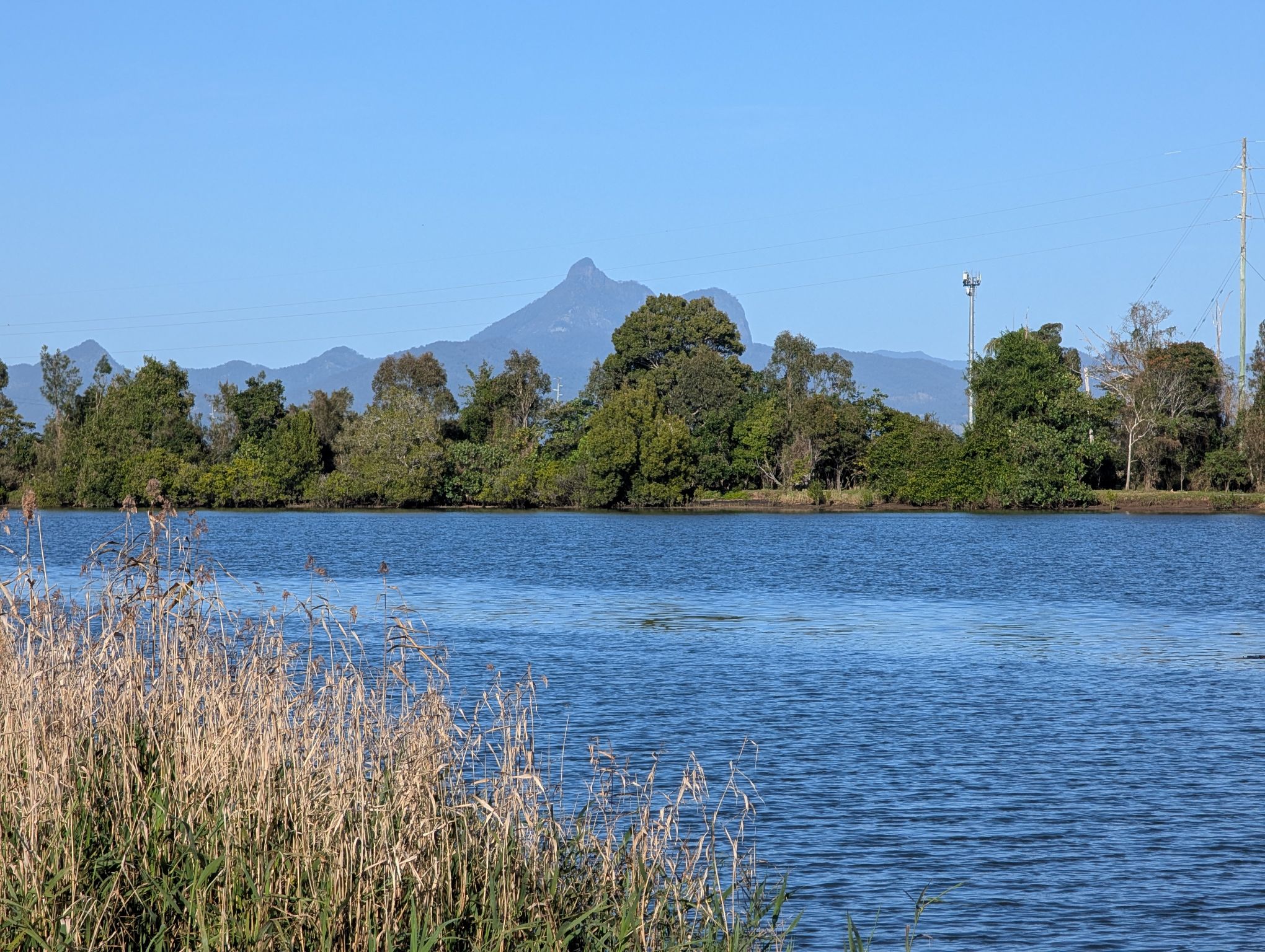 A Taste of The Tweed - Gallery image 4